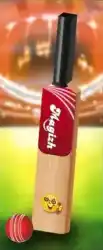 MRF Bat and Ball ( Fountain Bat and Colour Smoke Ball)